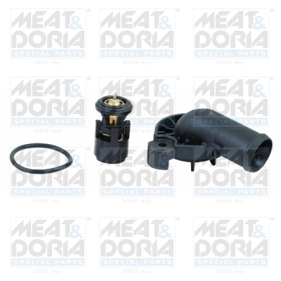 Thermostat, coolant